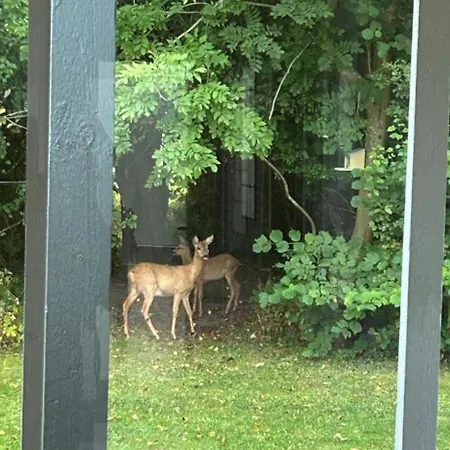 Langeland Retreat בית נופש Tranekær